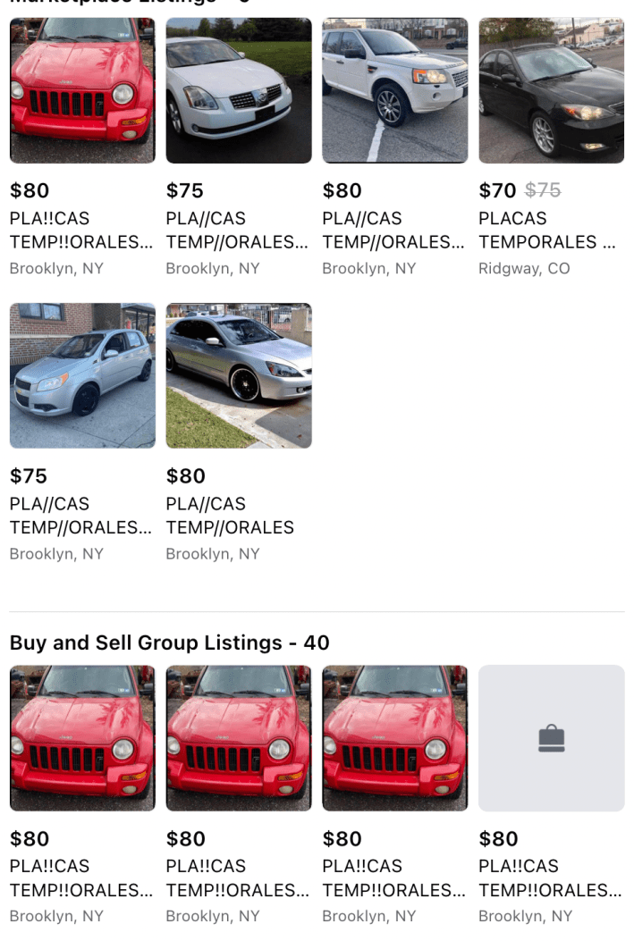 fake plates screen shot 2