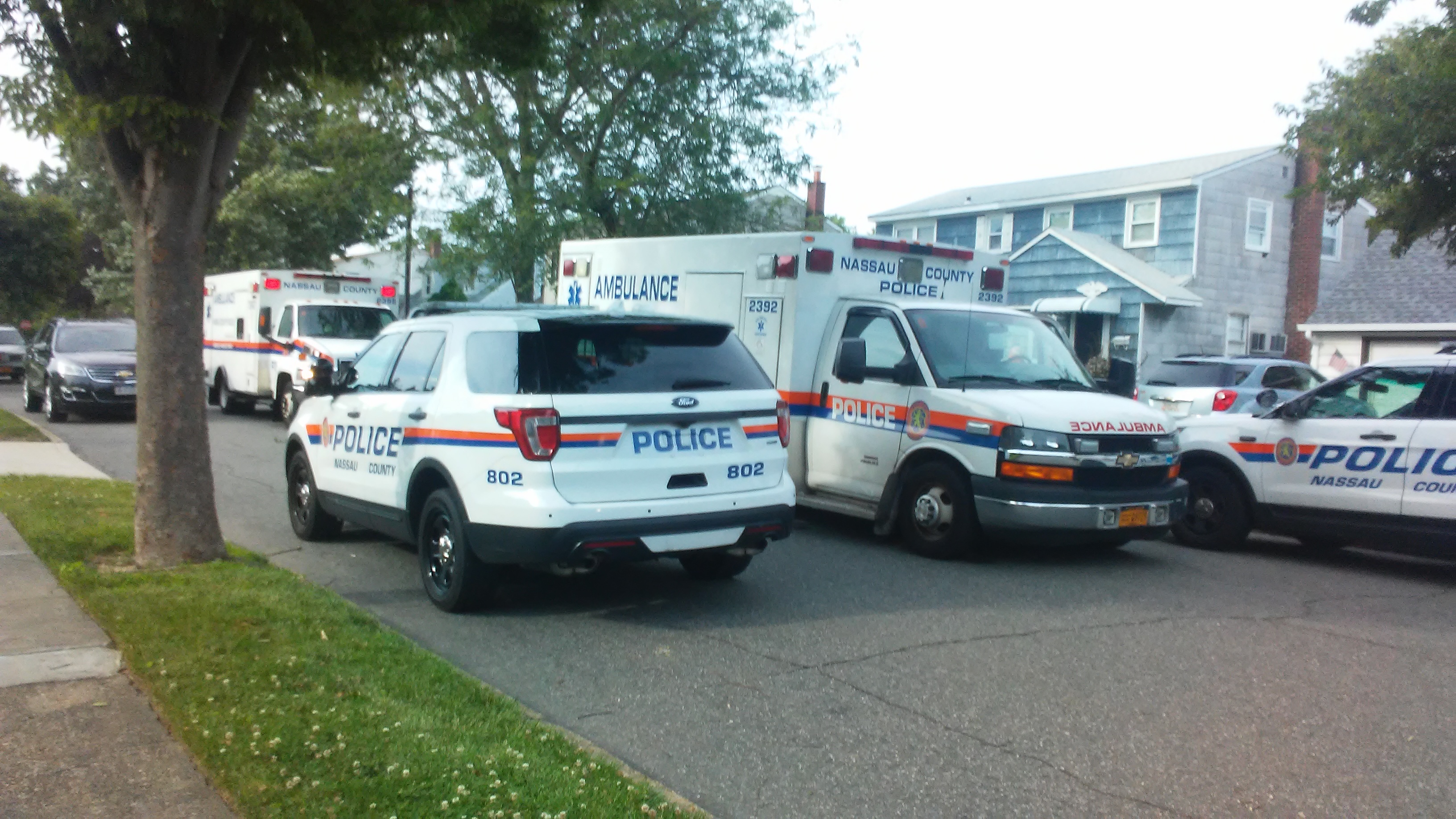 Thursday Headlines: Preventable Death Edition - Streetsblog Empire State